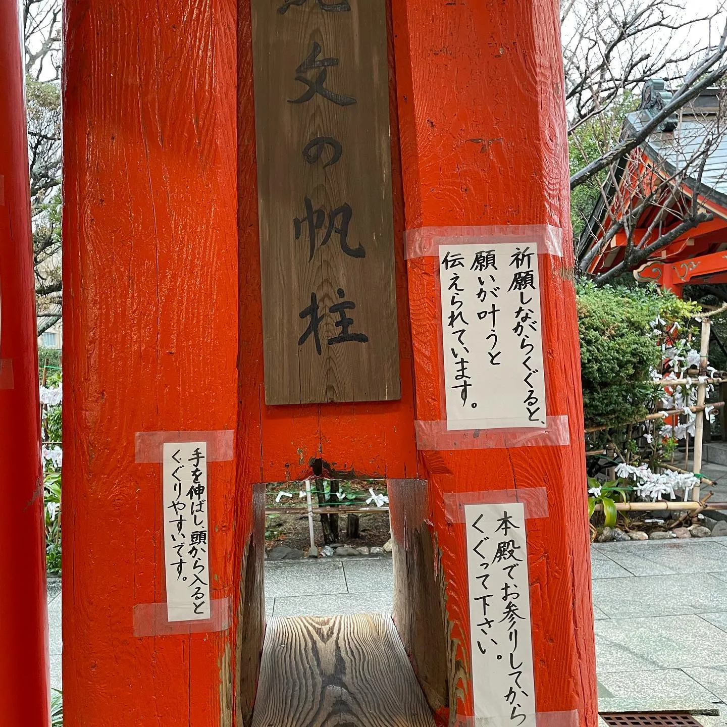 加太の淡嶋神社様にお参りしました！