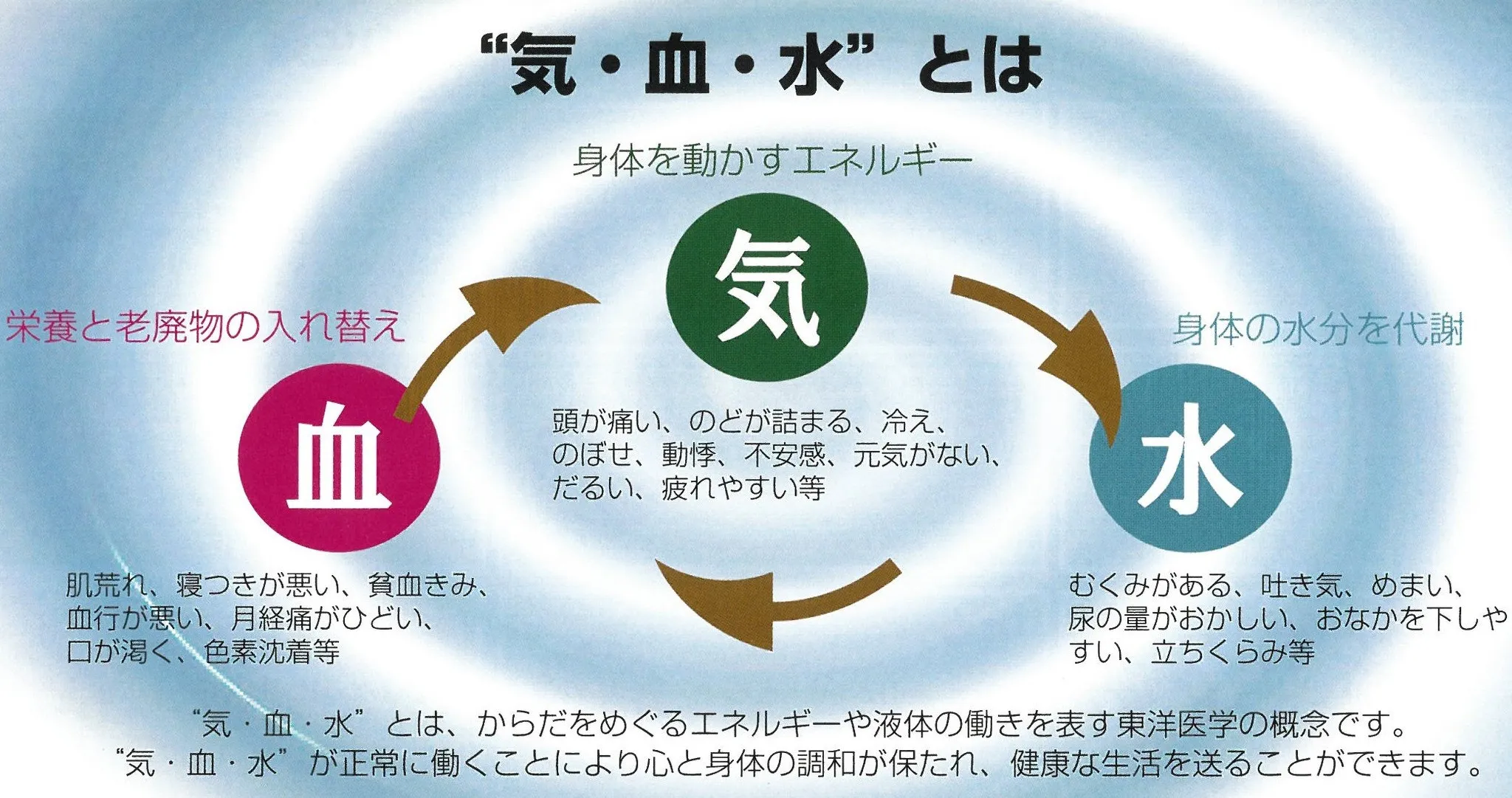 早くも梅雨入りや台風のニュースが！これからの季節、どうすれば...