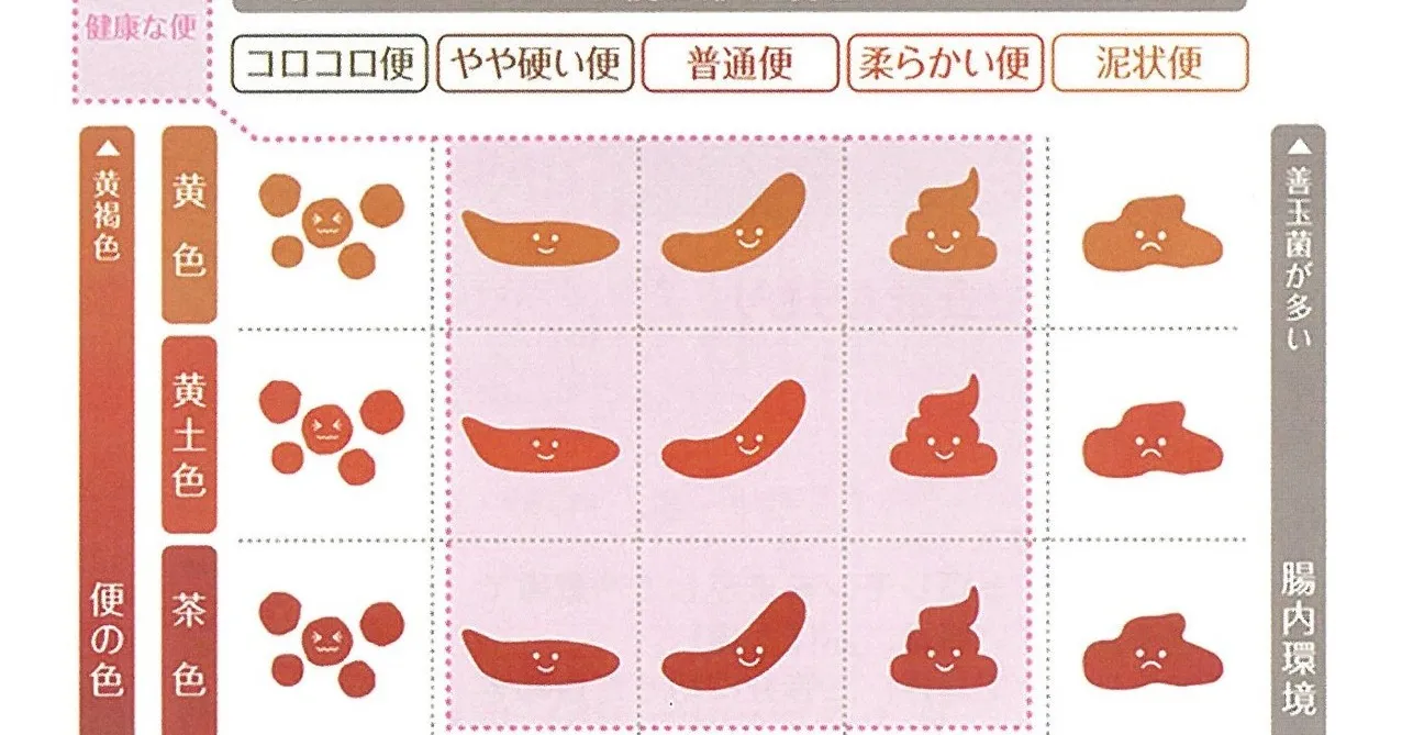 ☆うんちの構成成分：8割が水分。