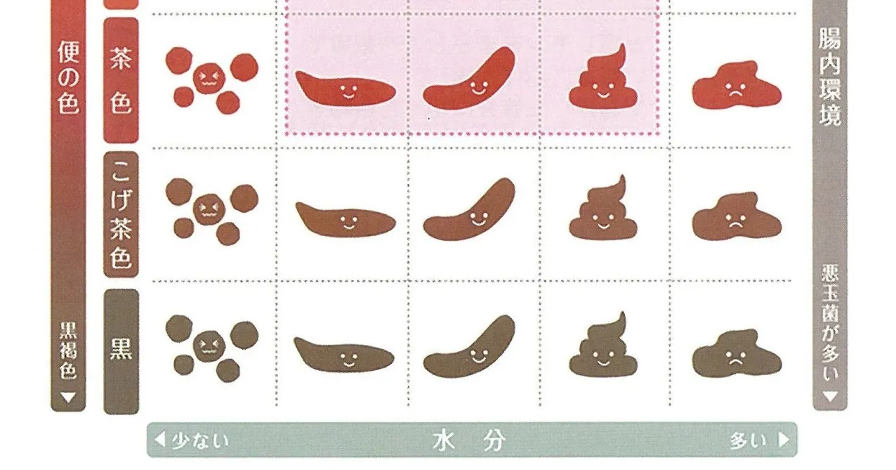 ☆うんちの構成成分：8割が水分。