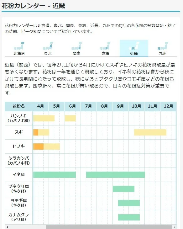 【秋の花粉症にご用心！】